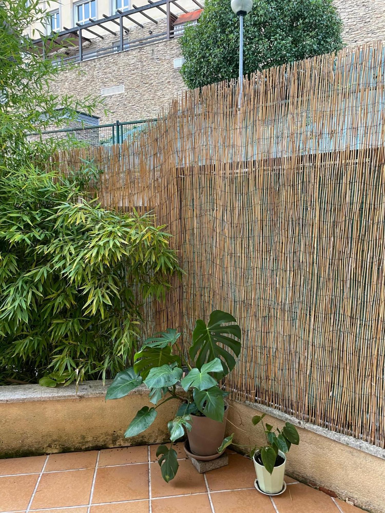 Ecobambu Con Terraza Y Parking En Pontevedra Apartment San Salvador de Poio Ngoại thất bức ảnh