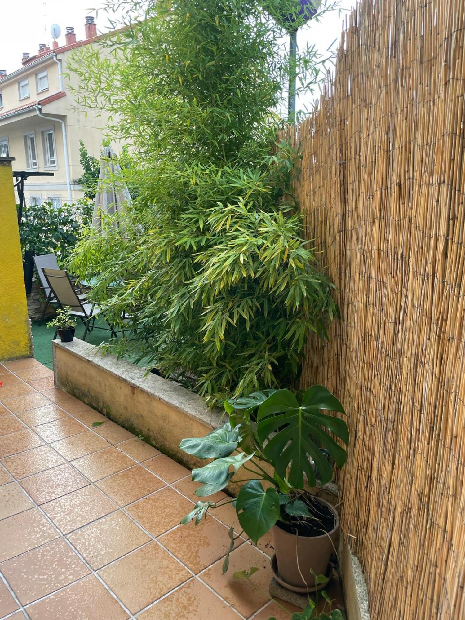 Ecobambu Con Terraza Y Parking En Pontevedra Apartment San Salvador de Poio Ngoại thất bức ảnh